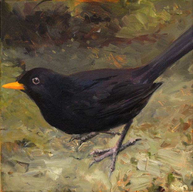 oil painting of Blackbird by Eoin Mac Lochlainn