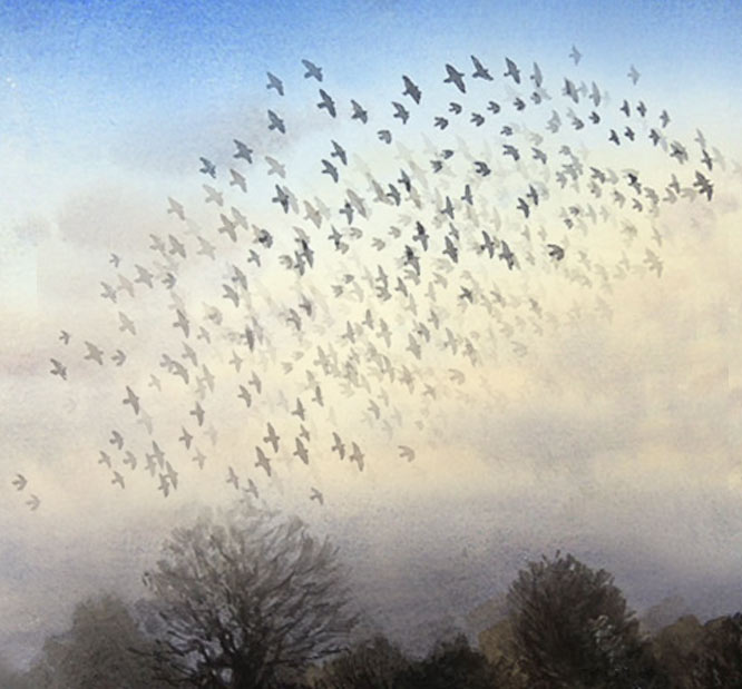 painting by Eoin Mac Lochlainn of starling murmuration in Nobber, Co. Meath january 2019